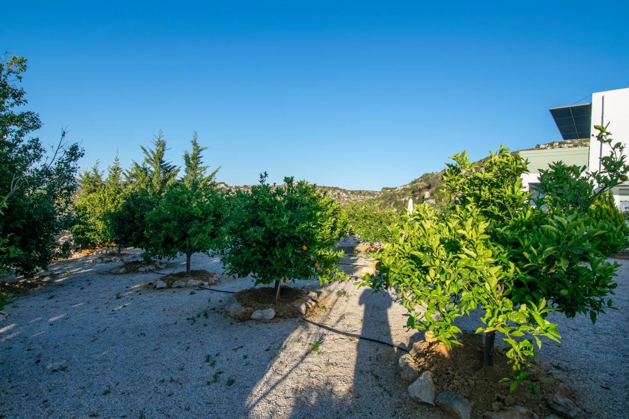 Κatakis Villas Agios Onoufrios Exteriér fotografie