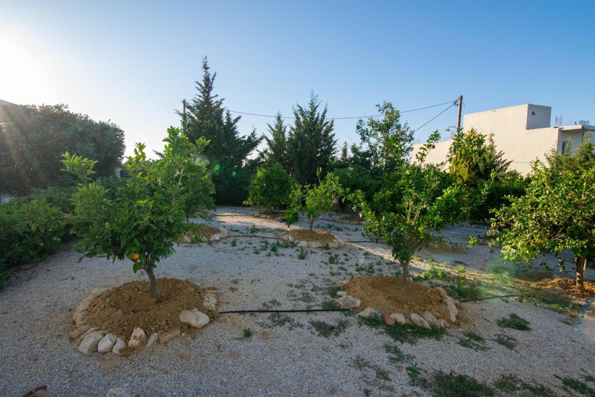 Κatakis Villas Agios Onoufrios Exteriér fotografie