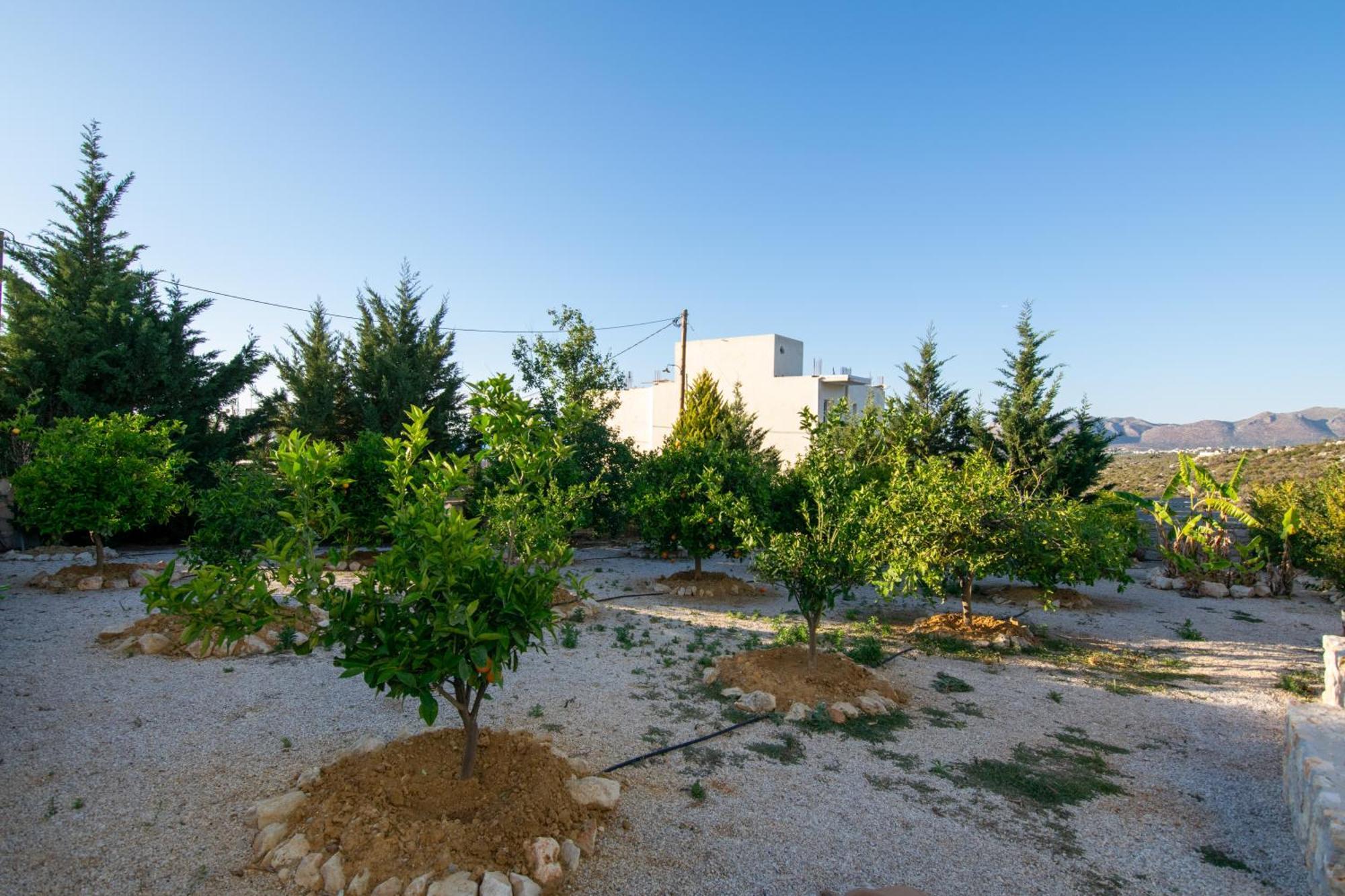 Κatakis Villas Agios Onoufrios Exteriér fotografie